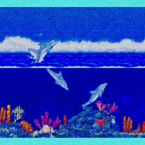 AQUATIC OASIS