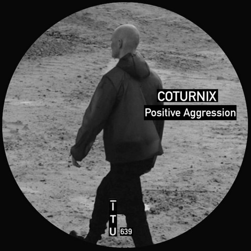 Coturnix - Just A Bit Too High [ITU639]