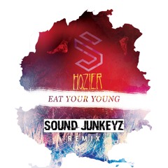 Hozier - Eat Your Young (Sound Junkeyz Remix)