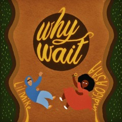 Why Wait (Remix) ft Lil Mike