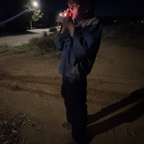 i took shrooms with a bhad hoe