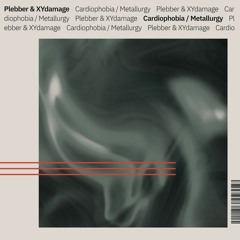 Plebber & XYdamage - Cardiophobia