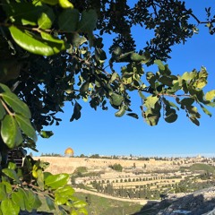 Holy Land - Song For Peace