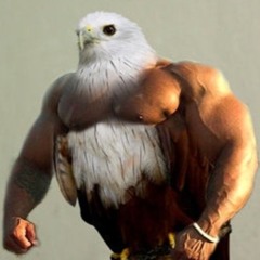 SIDEWINDAH (CHIIP FLIP)