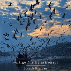 Vertigo / Little Astronaut