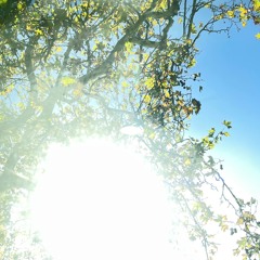 Young Money... for a Young God (akaJazy Remix)