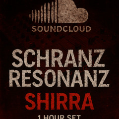 Schranz Resonanz