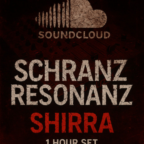 Schranz Resonanz