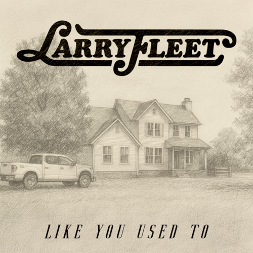 Like You Used To
