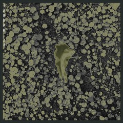 𝙋𝙧𝙚𝙢𝙞𝙚𝙧𝙚 : Jabbar - Run To The Shore [Overlap Records]