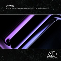 FREE DOWNLOAD: Savage - Where is the Freedom (Javier Valencia, Galgo Remix)