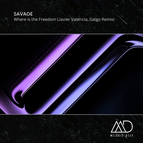 FREE DOWNLOAD: Savage - Where is the Freedom (Javier Valencia, Galgo Remix)