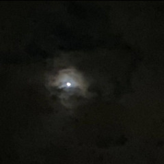 يحز بخاطري إني عطيته قلبي وضرّه