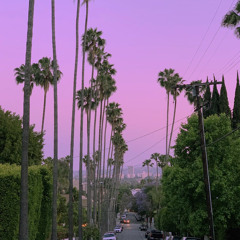 A New Day