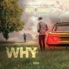 YK 504 x Dominique (WHY)