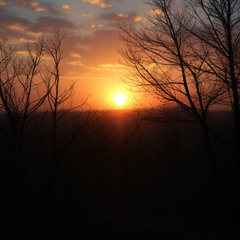 The Light of a new Dawn