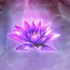 A Chance To Live Forever