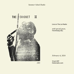 summer school radio (60) – The Cricket Magazine ft. Timmhotep Aku