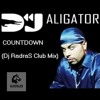 Dj Aligator - Countdown (Dj RadraS Club Mix) — cover