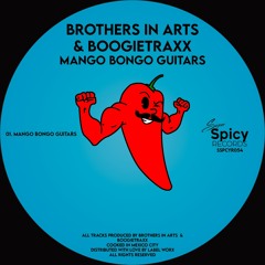 Brothers In Arts, Boogietraxx - Mango Bongo Guitars (Original Mix)