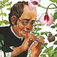 Mendel's Garden (remix)