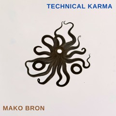 Technical Karma