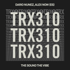 Dario Nunez, Alex Now (ES) - The Sound The Vibe