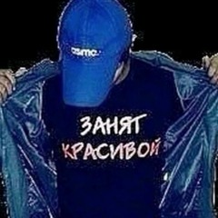 милые котики