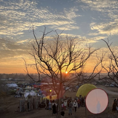 Burnerot 24 @ The Lemon tree Family
