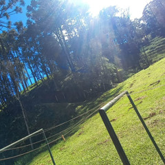 foi por medo de elogiar (xanwydd)