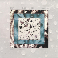 Lizz - Atipic 21 (ATIPIC021)