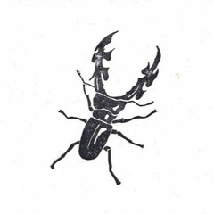 LATIGA - LQPYSM (demo)