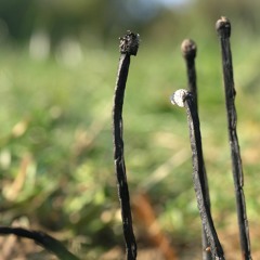 System -Orgasm Hollen. Remix (Giga Shuzina)