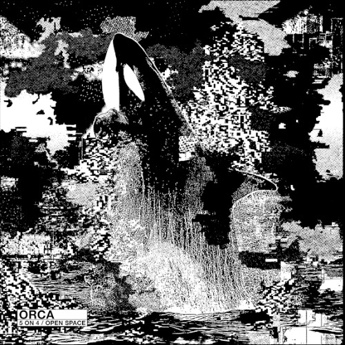 [8205-024] B Orca - Open Space (clip)