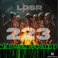LDSR 223 - ckswanecamp 3