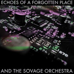 AND THE SOVAGE ORCHESTRA - RELEASES