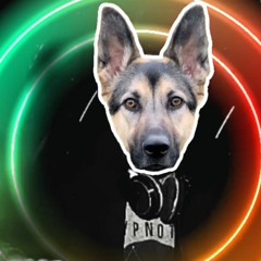 A LO CANINO 2023 - Dj Andrew Costa