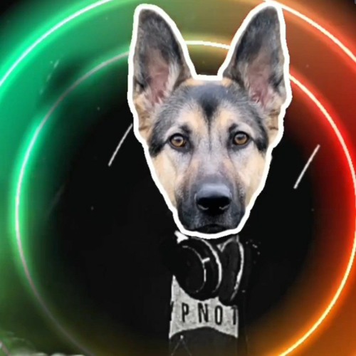 A LO CANINO 2023 - Dj Andrew Costa