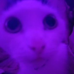 что то новое..