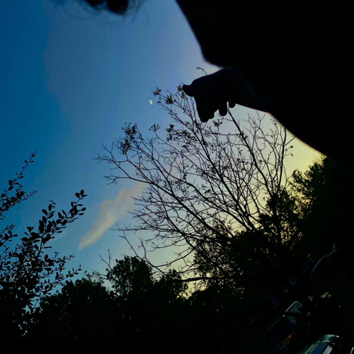Cigarettes After Sex Apocalypse Lyrics Tiktok Remix I Just Wanna Be Appreciated Tiktok Chall By Eric Estrada