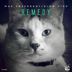 Max Freegrant & Slow Fish - Remedy