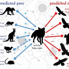Dr John Llewelyn speaking about coextinctions on ABC Drive (July 2023)