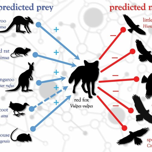 Dr John Llewelyn speaking about coextinctions on ABC Adelaide (July 2023)