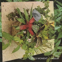Puce Moment -B1 - Equal