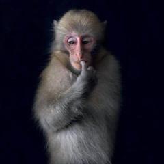 romantic money-mixdown-1-instrumental_demo-placeholder_vox