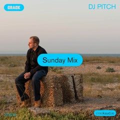 Sunday Mix: DJ Pitch