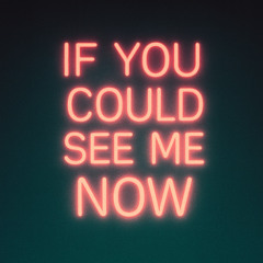 If You Could See Me Now