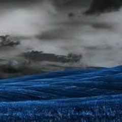Dark Fields