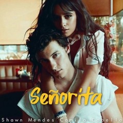 Shawn Mendes ▶ Camila Cabello ♫ Señorita ♫ REMIX