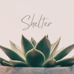 Shelter